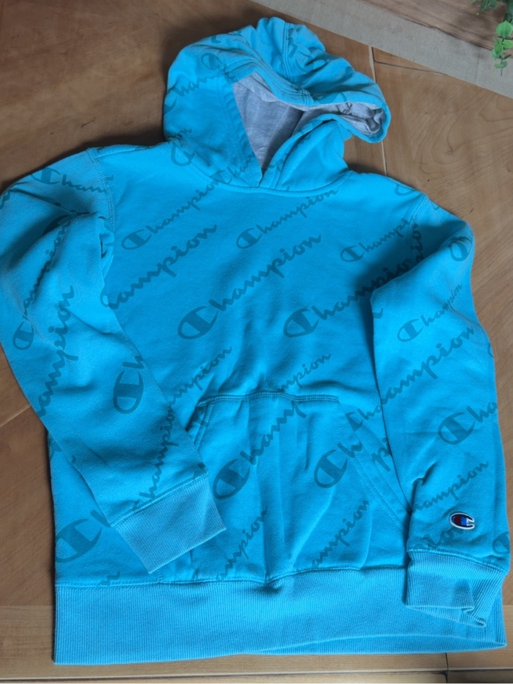 Champion Men’s Crewneck Hoodie in Turquoise Blue All-Over Logo